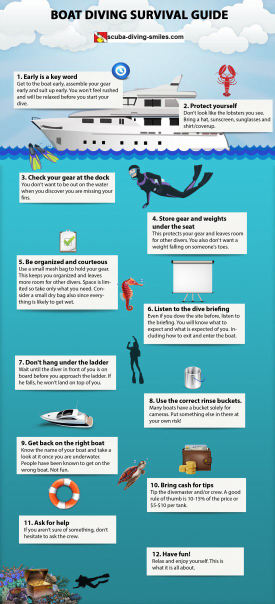 Cold Water Dive Gear: A Shopping List for New Divers [INFOGRAPHIC] - Scuba  Scribbles