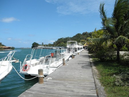 dive boats at anthony's key resort, roatan