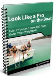 Boat diving ebook